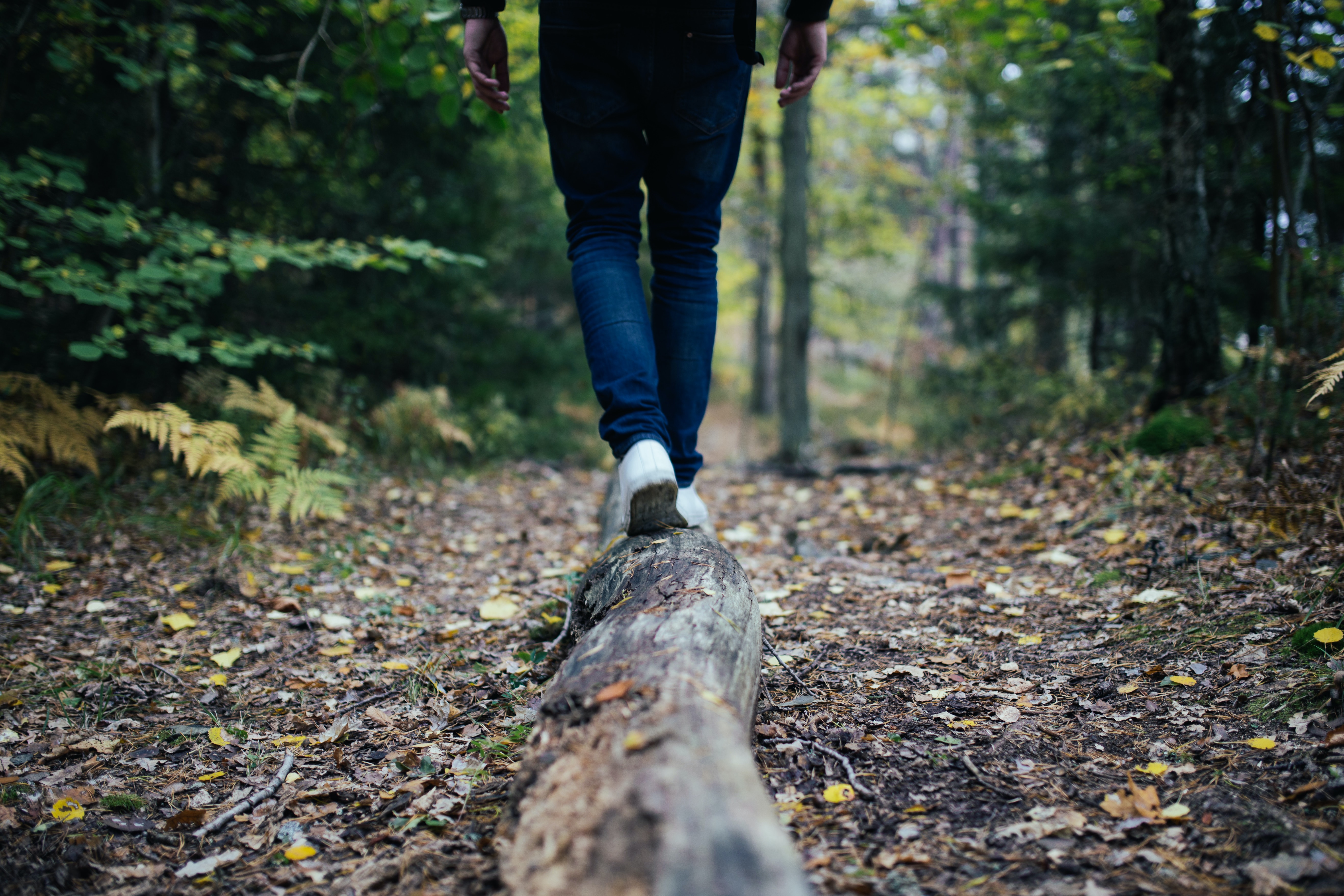 An image of someone hiking